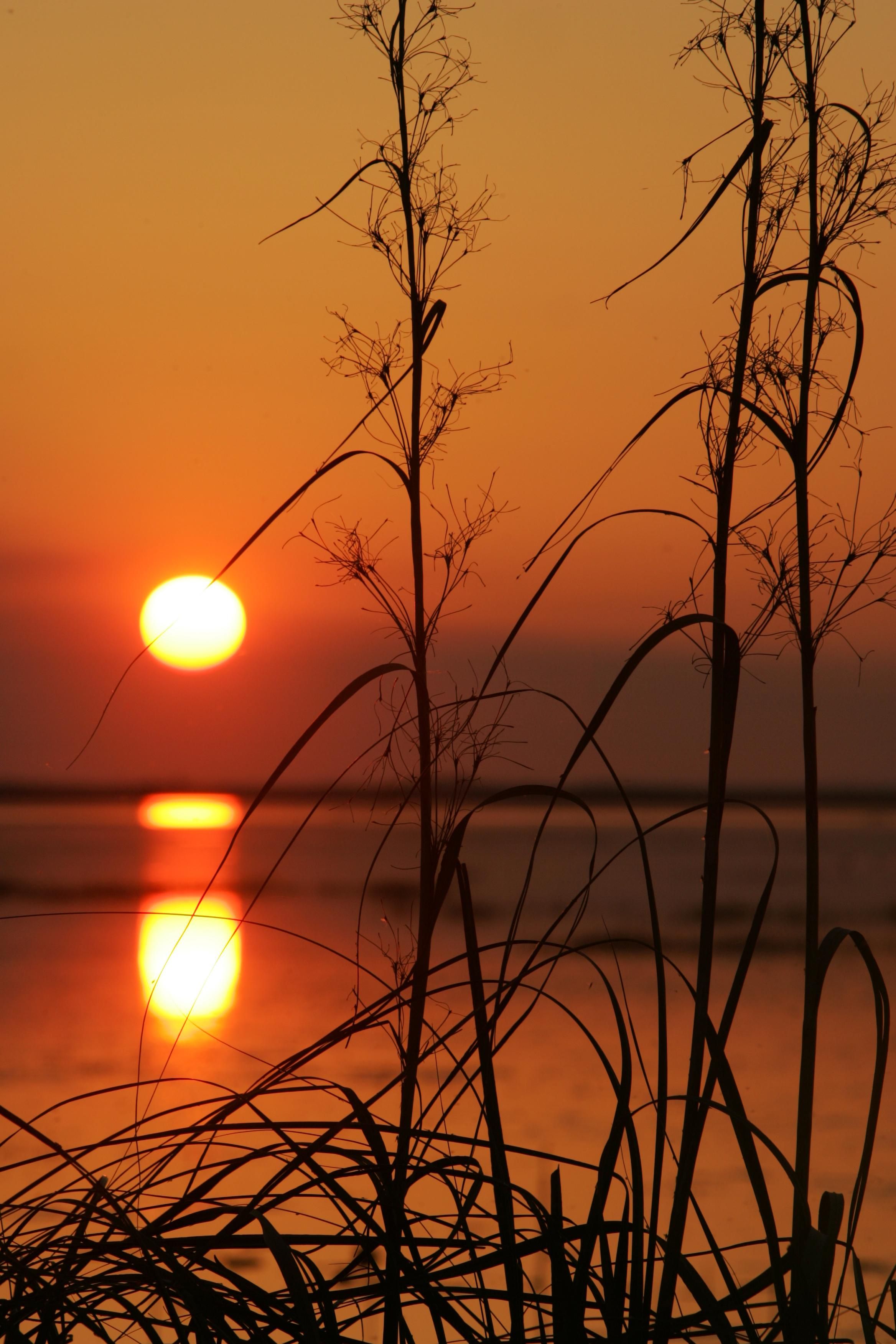 Evening_sun_reflection.jpg