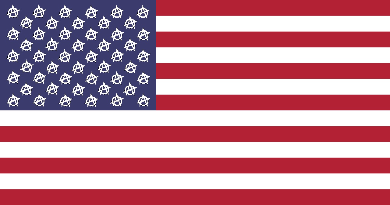 americanwhiteanarchyflag.jpg