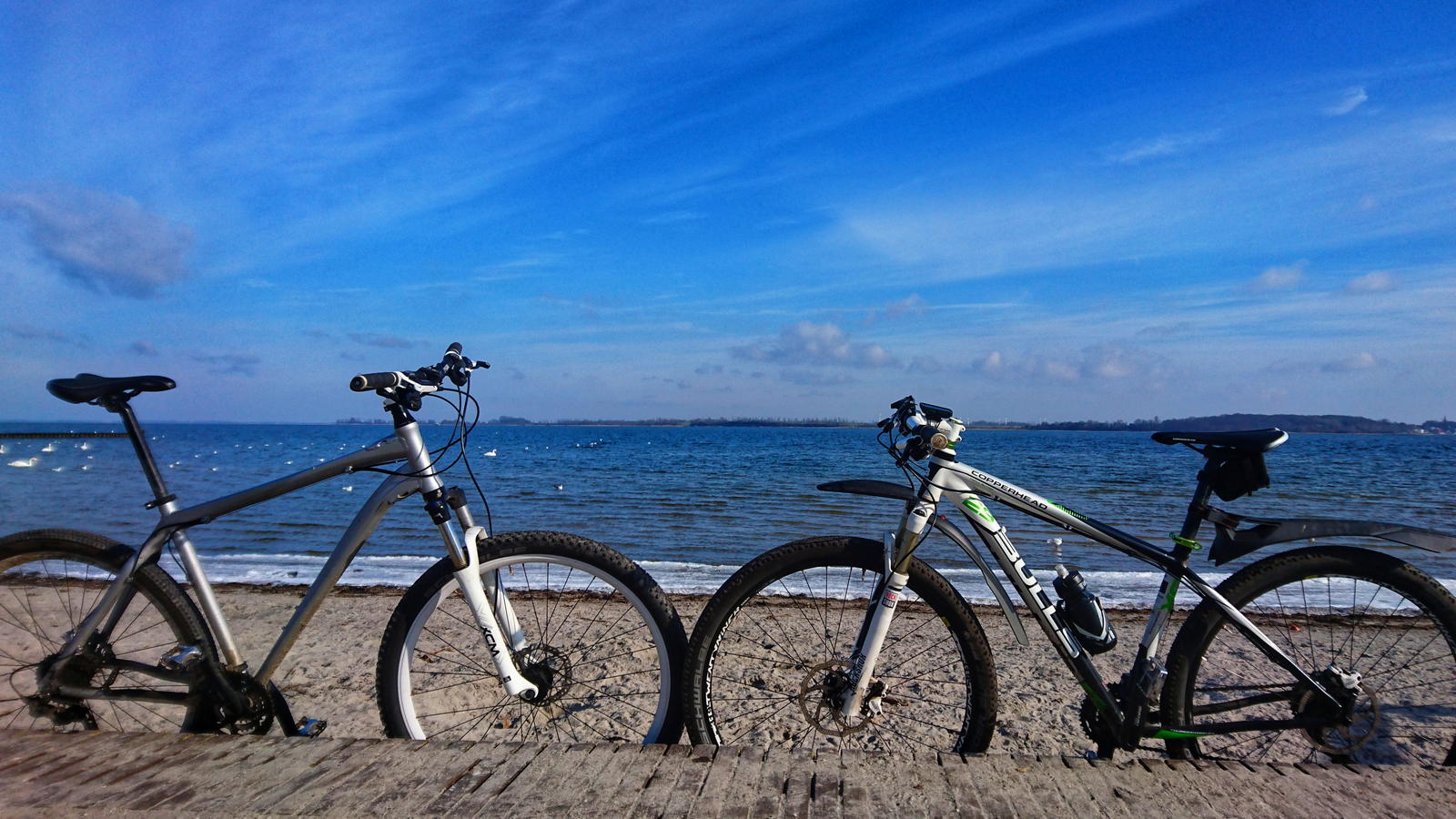 sunride-4.jpg