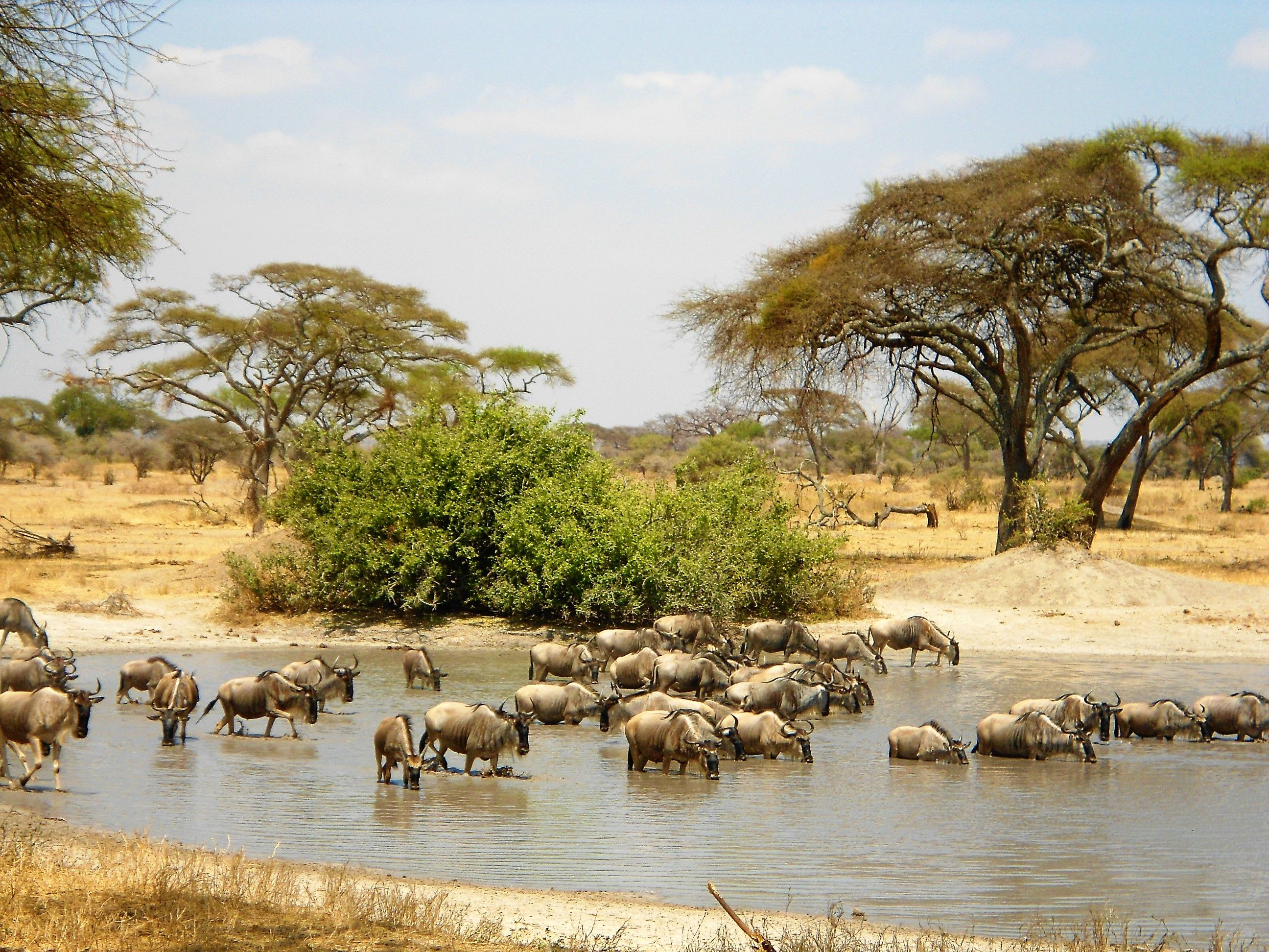 Africa 2012 016.JPG