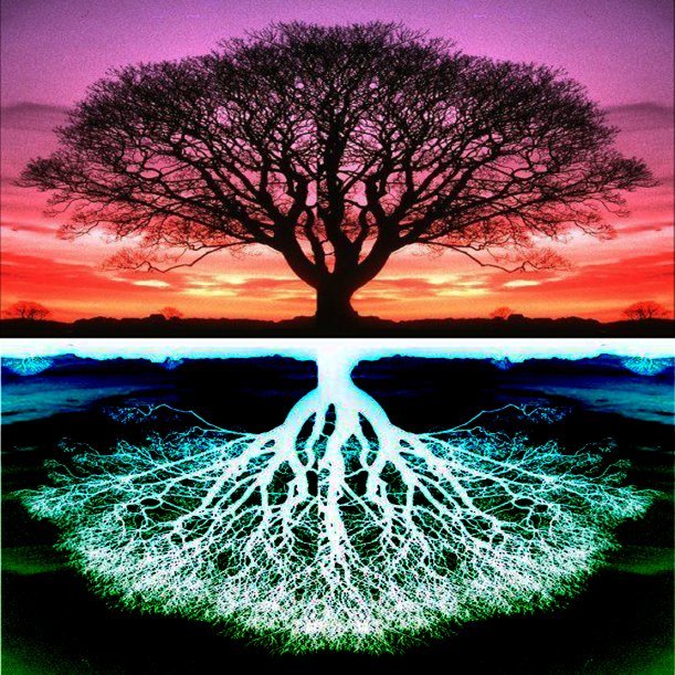 treeoflife.jpg