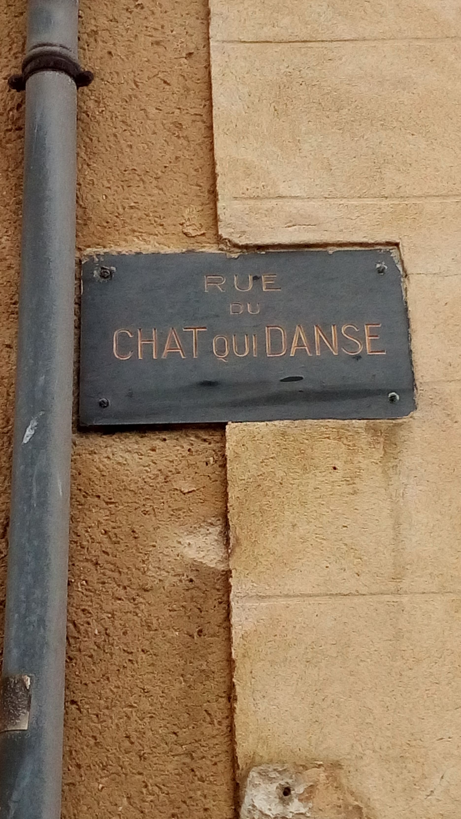 Interesting History The Dancing Cat Street In My Town Saint Malo Steemit