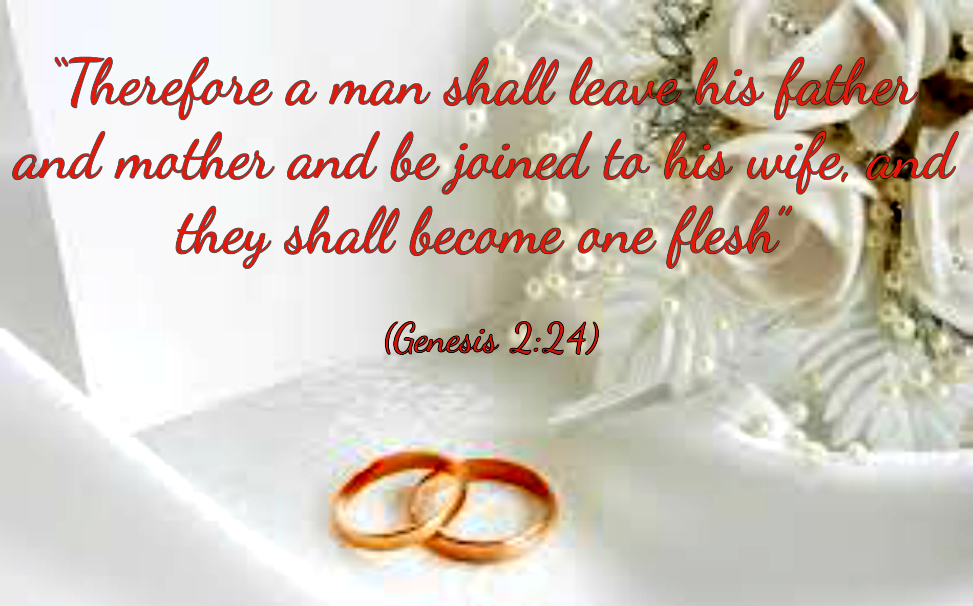 Day 8 Marriage Daily Insights For The 21 Days Prayer And Fasting Steemit Day 8 Marriage Daily Insights For The 21 Days Prayer And Fasting Steemit