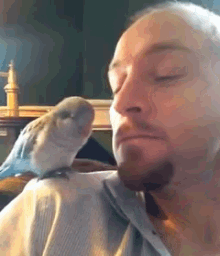 tenor (3).gif