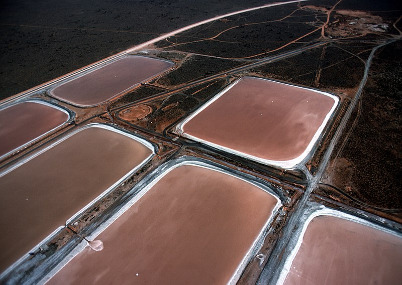 800px-Algaefarm.jpg
