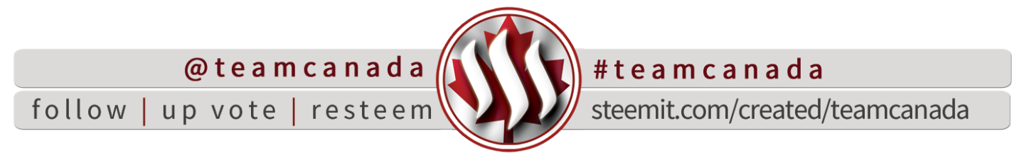 TEAMCANADA-GENERICFOOTER2 (1).png