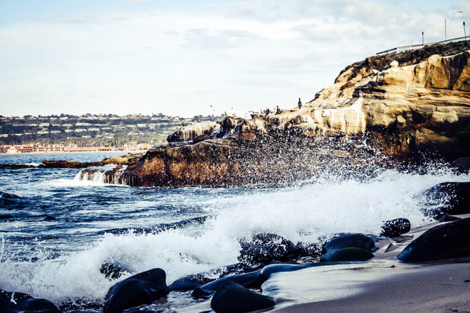 Travel Diary California La Jolla Cove & Seaport Village (54).jpg