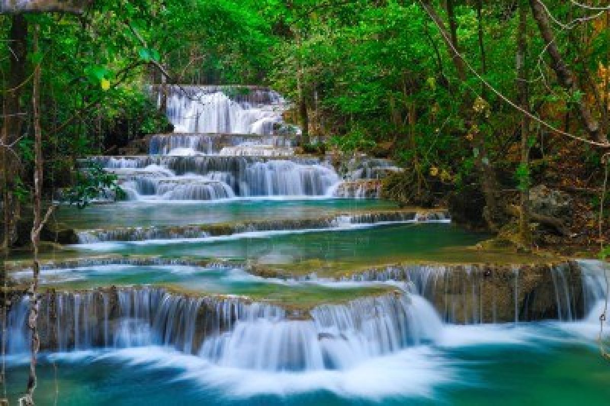 Deep-Forest-Waterfall.jpg