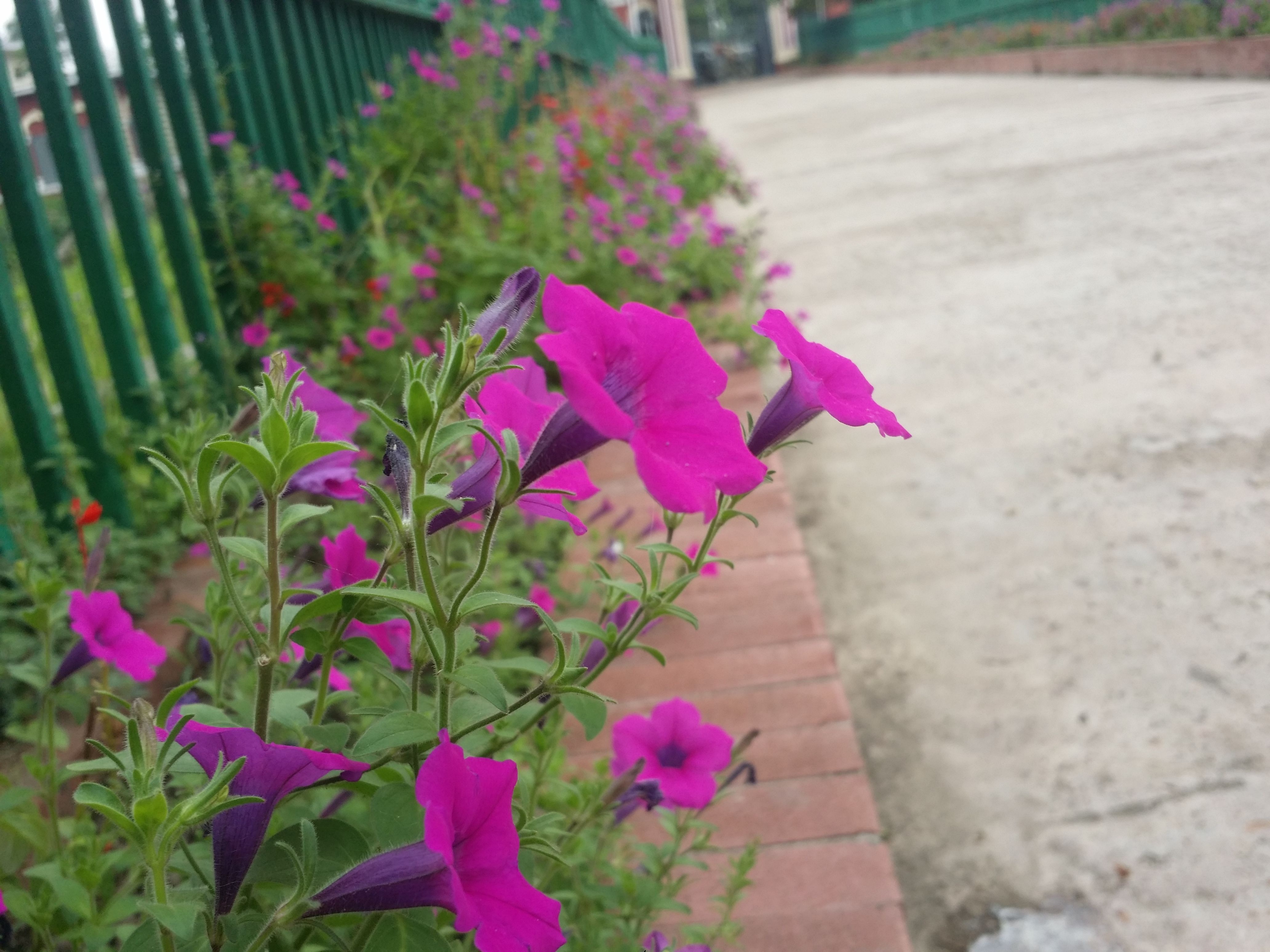 20170421_134405.jpg