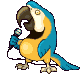 animated-parrot-image-0018.gif