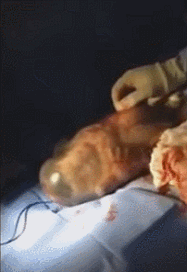 7caf8b9450fb7bb65a41eda2f1791ac5.gif