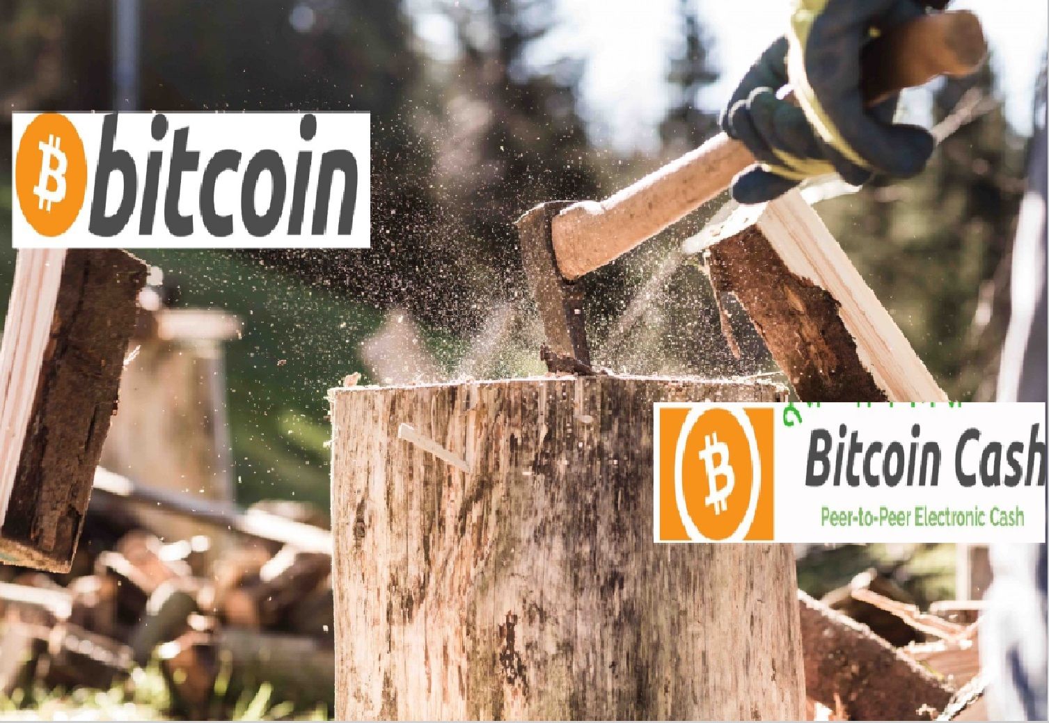 bitcoin and bitcoin cash split