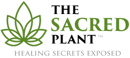 thesacredplant.png