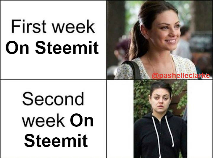 steemitweek1.jpg