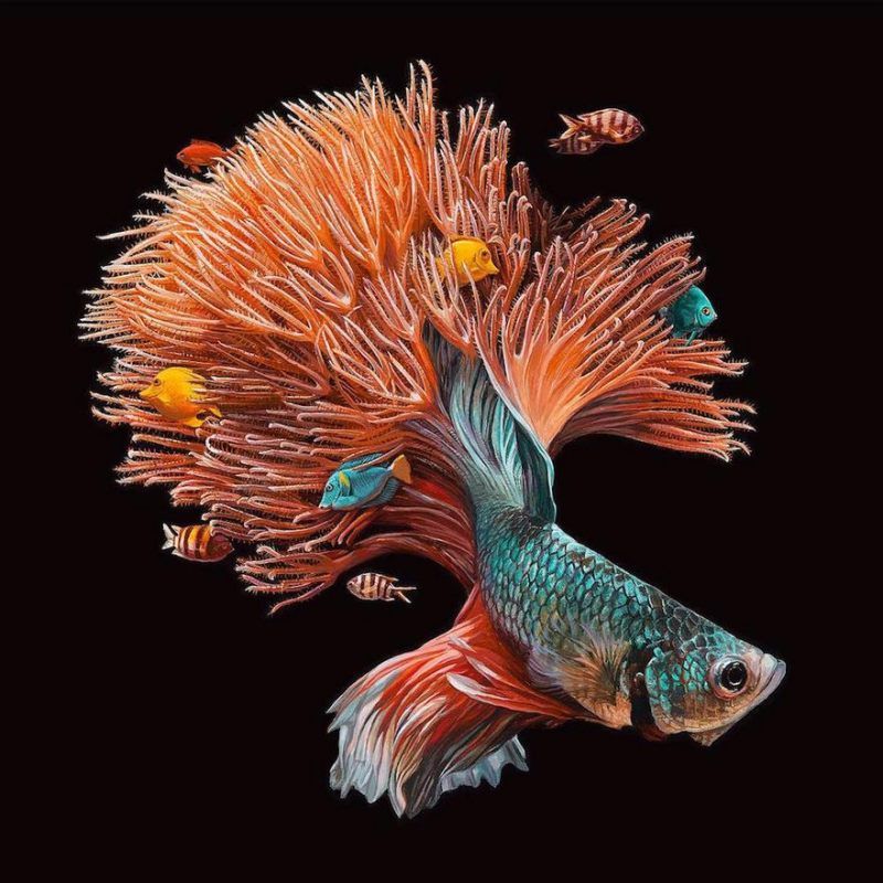surreal-fish-art-lisa-ericson-1-585900f8ab12c__880.jpg