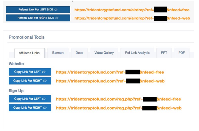 trident crypto fund steps.png