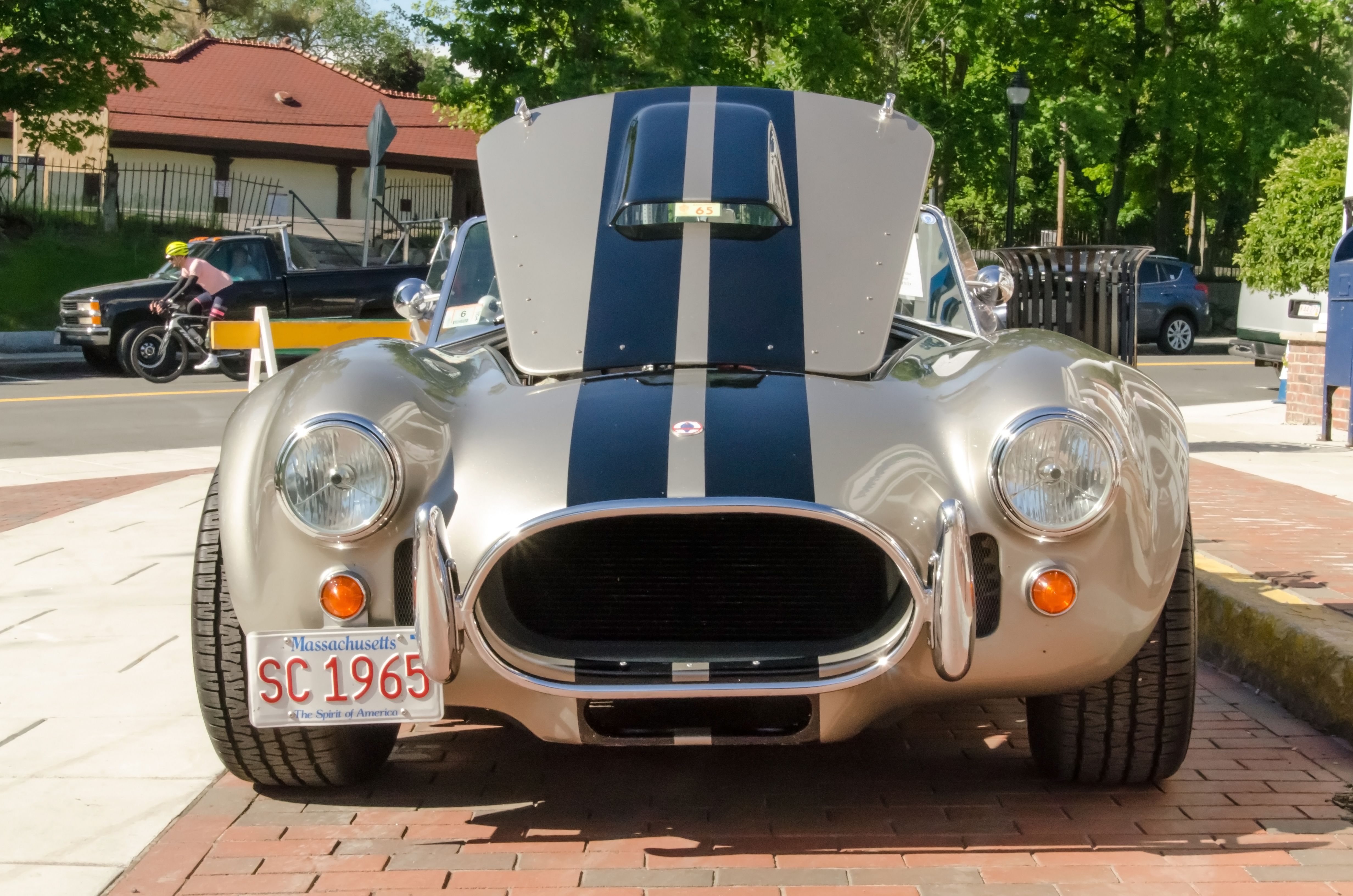 Shelby 65.jpg