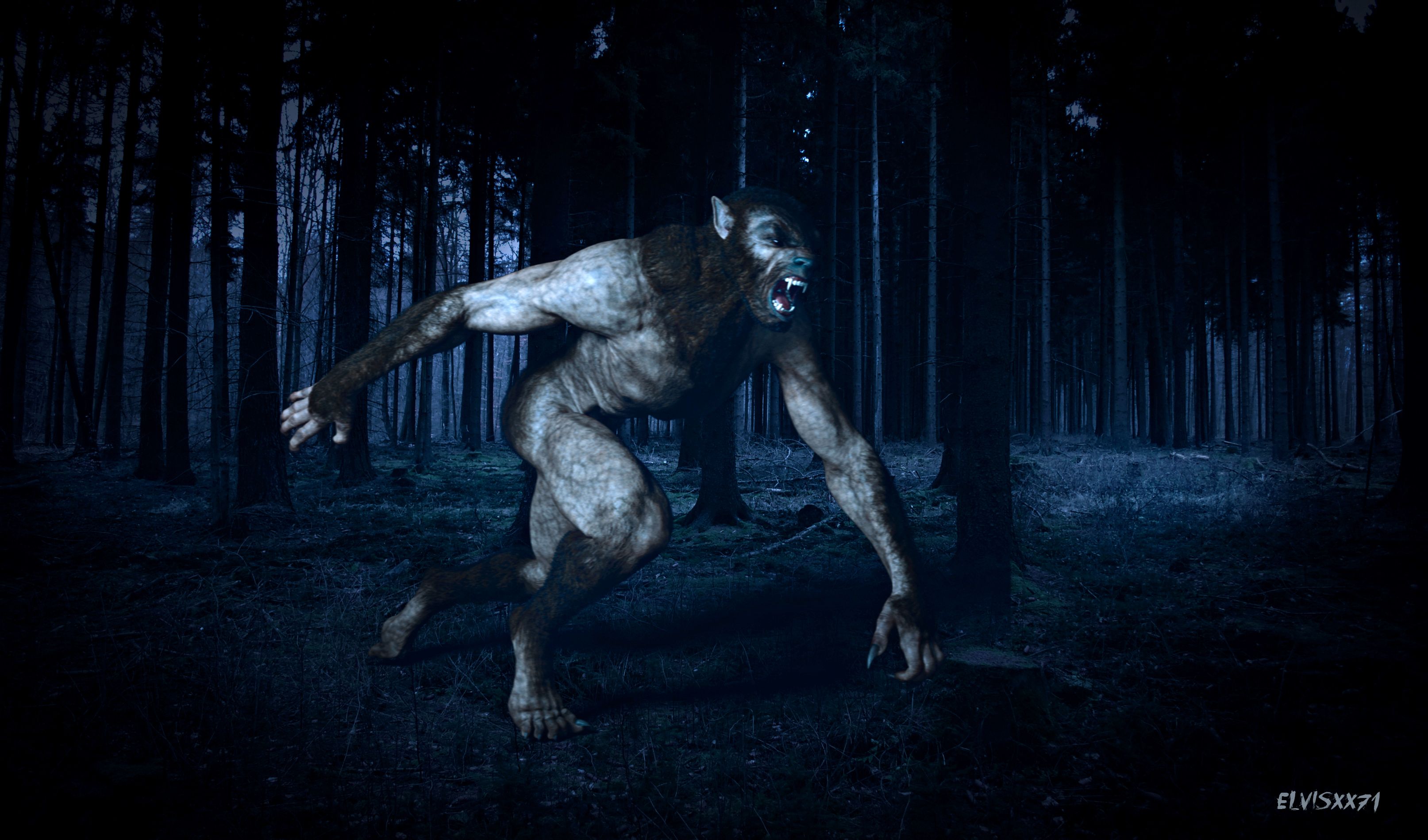 Chi è il lupo mannaro?/Who is the werewolf? (ITA-ENG) — Steemit, image size:3227x1899