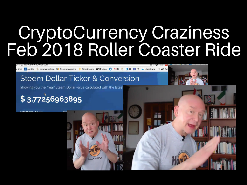 CryptoCraziness_Feb2018RollerCoasterin Crypto.png