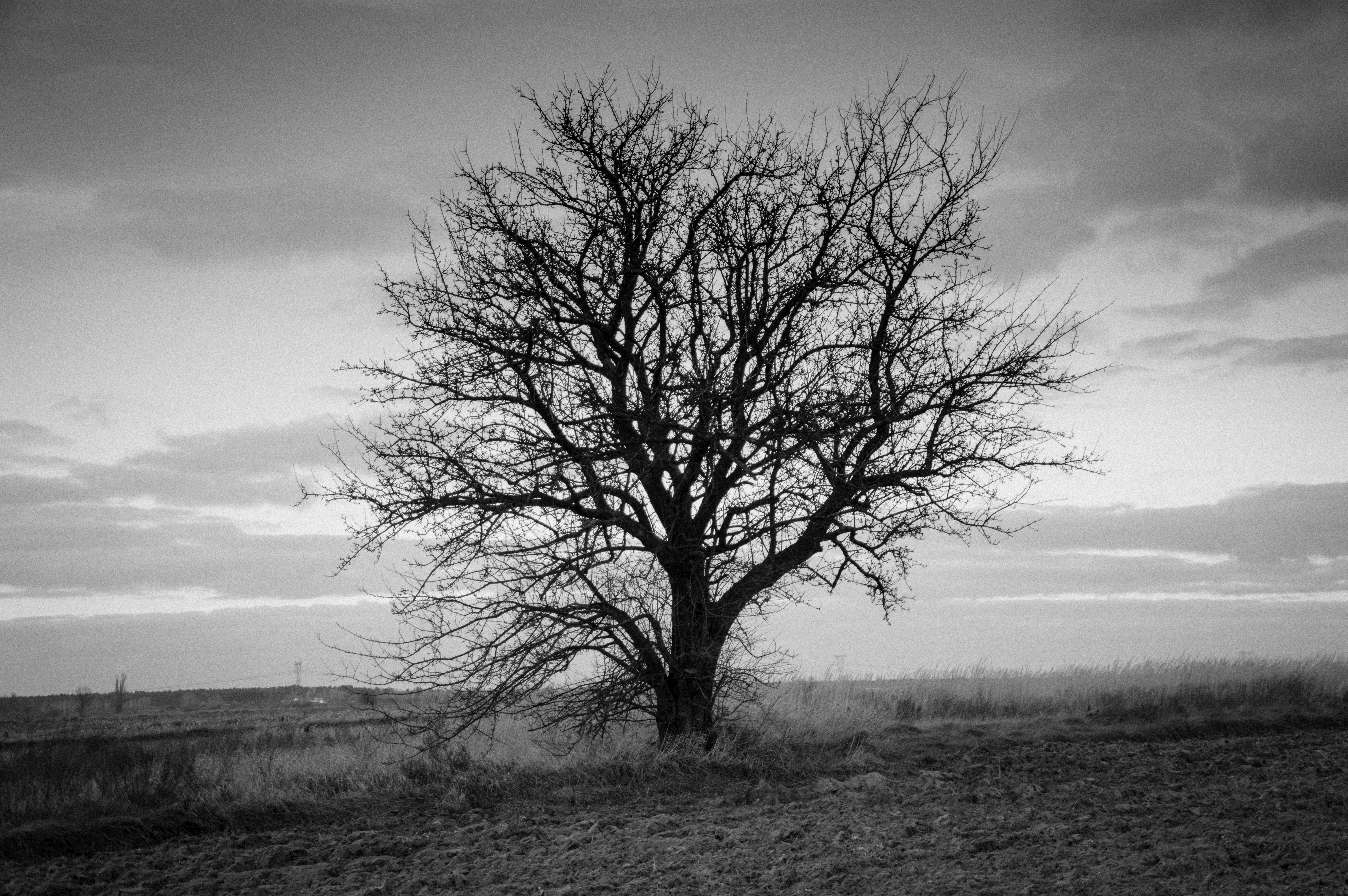 zachód słońca lipsko_-2.jpg