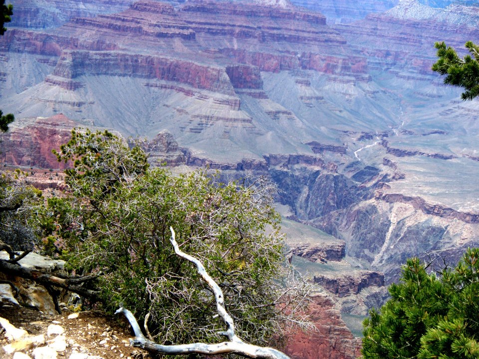Grand-Canyon2.jpg