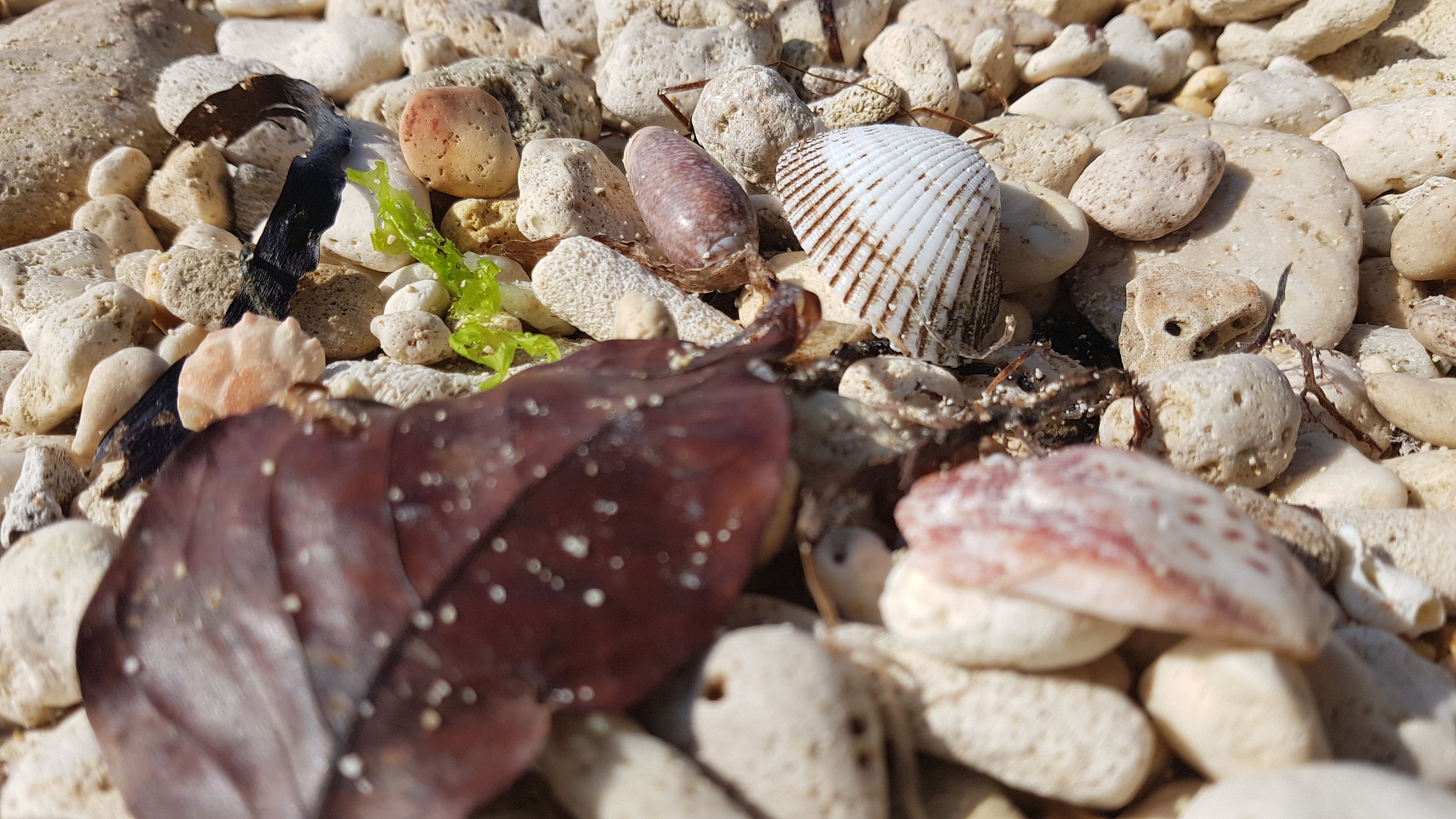 20180520_074315.jpg
