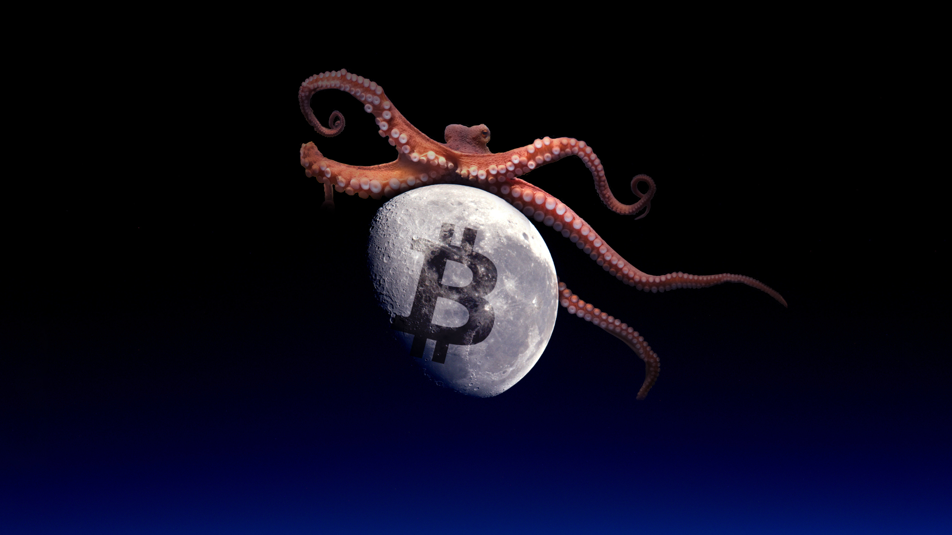 octopus crypto coin