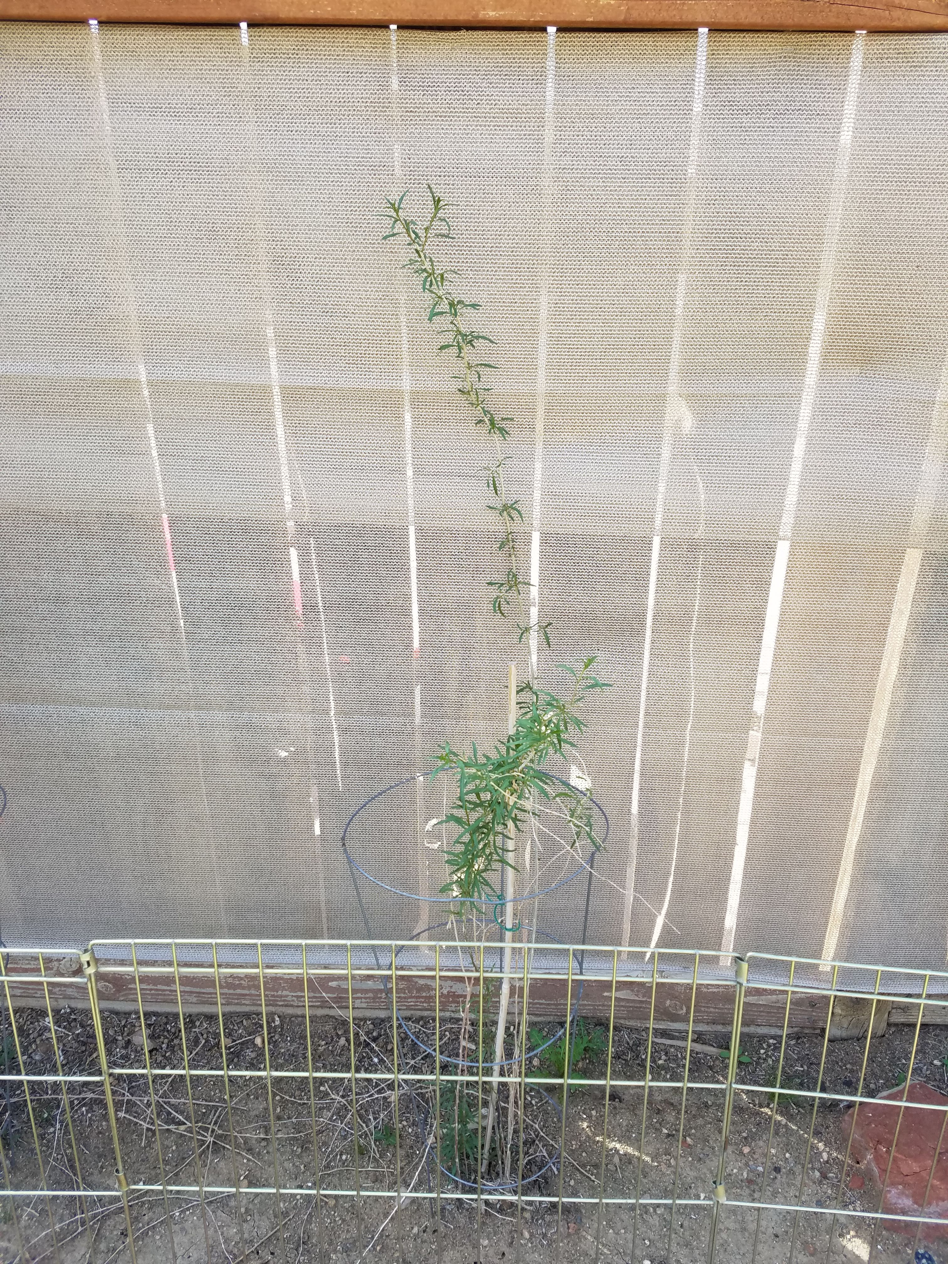 20170316_144431 - Copy.jpg