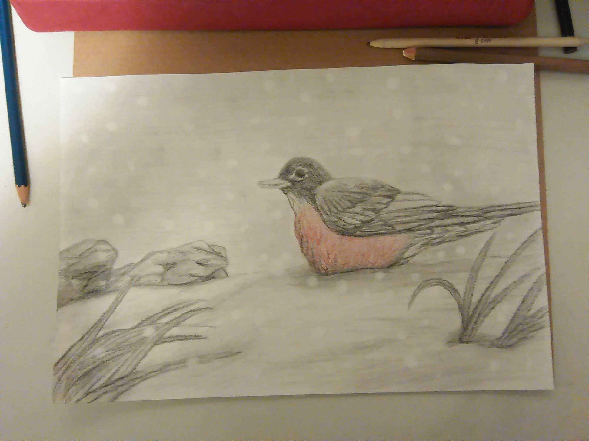 drawing-of-robin-in-snow.jpg
