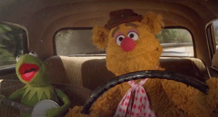 kermit-and-fozzie-bear-driving-muppet-movie.gif