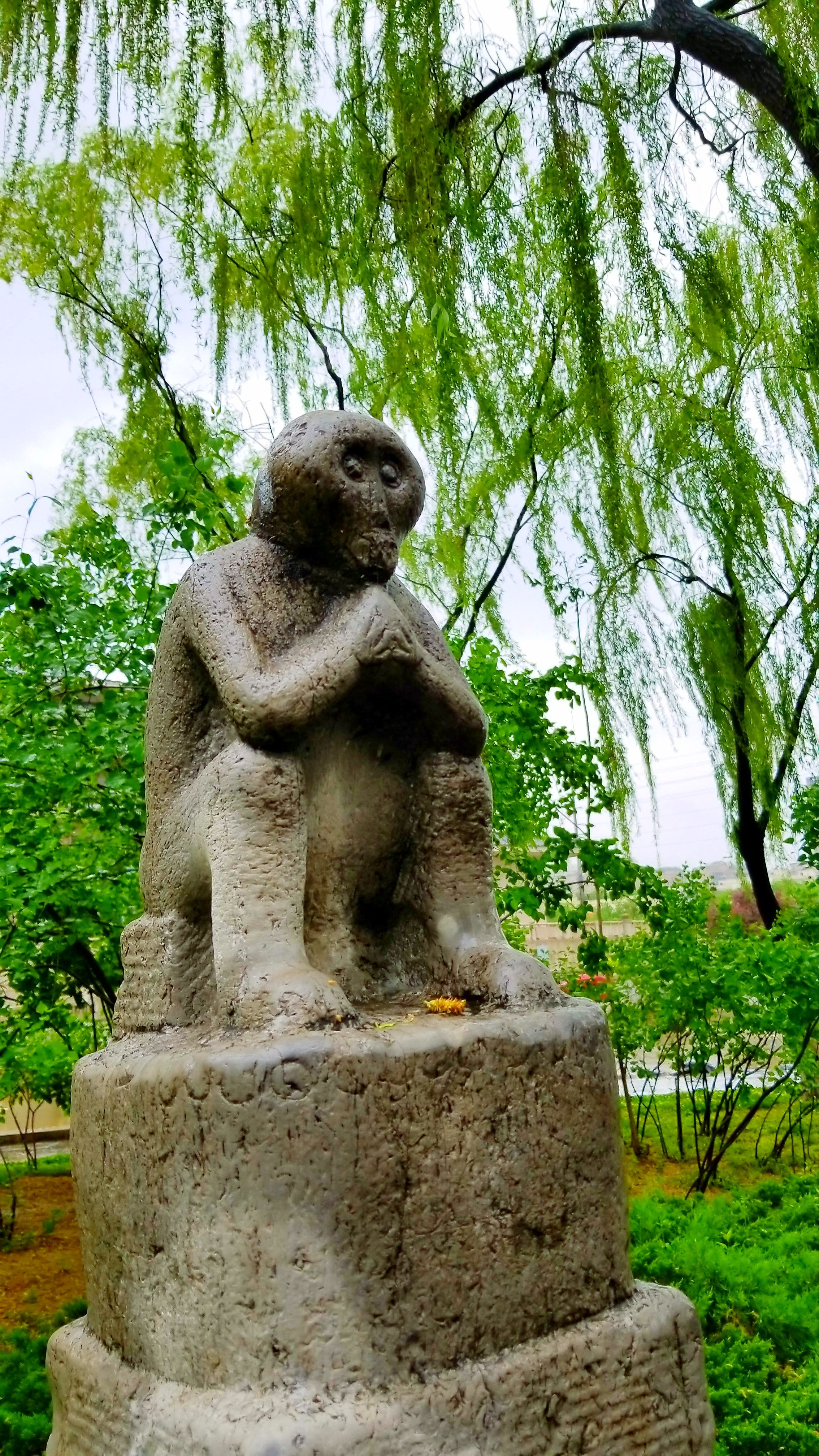 20180423_201312.jpg