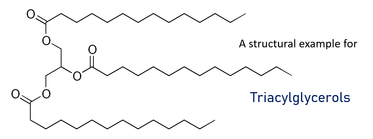 Кислота 16 0. 3 Пальмитин. Пальмитат формула. Три пальмитин. Myristate d'isopropyle Aroma.