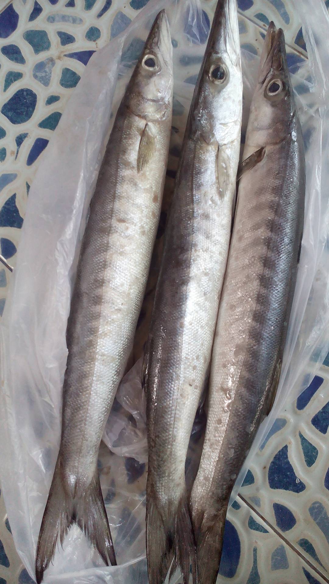 26772595_2034280723483741_129874389_o (1).jpg