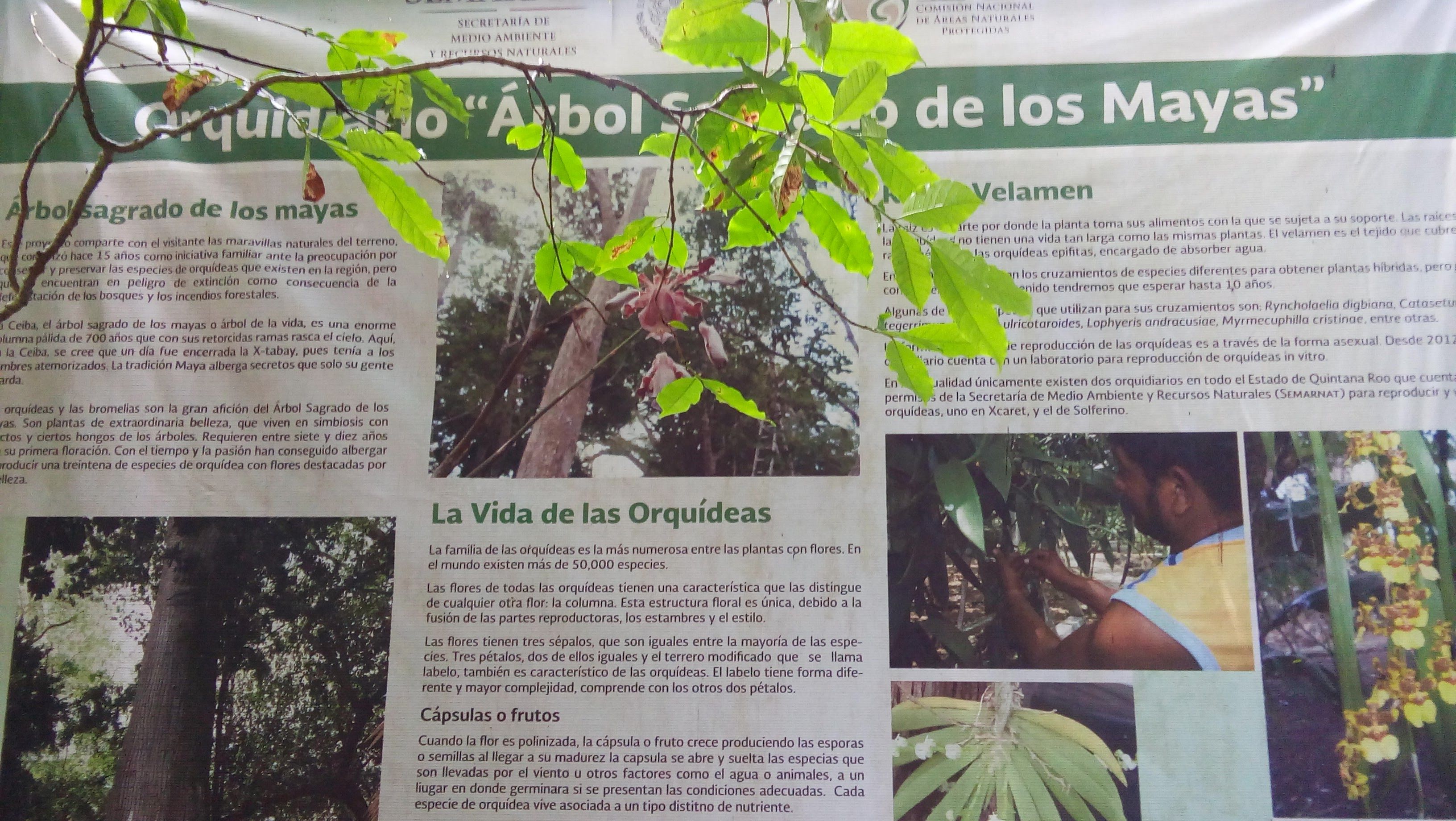 20160727_140159.jpg