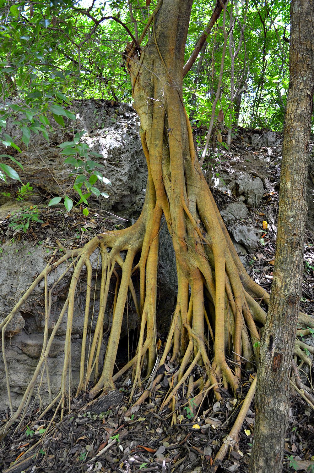 erawan-waterfalls-3.JPG