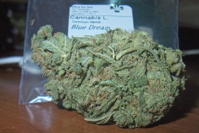 Blue-Dream-–-My-Cult-Classic-Of-Weed.jpg