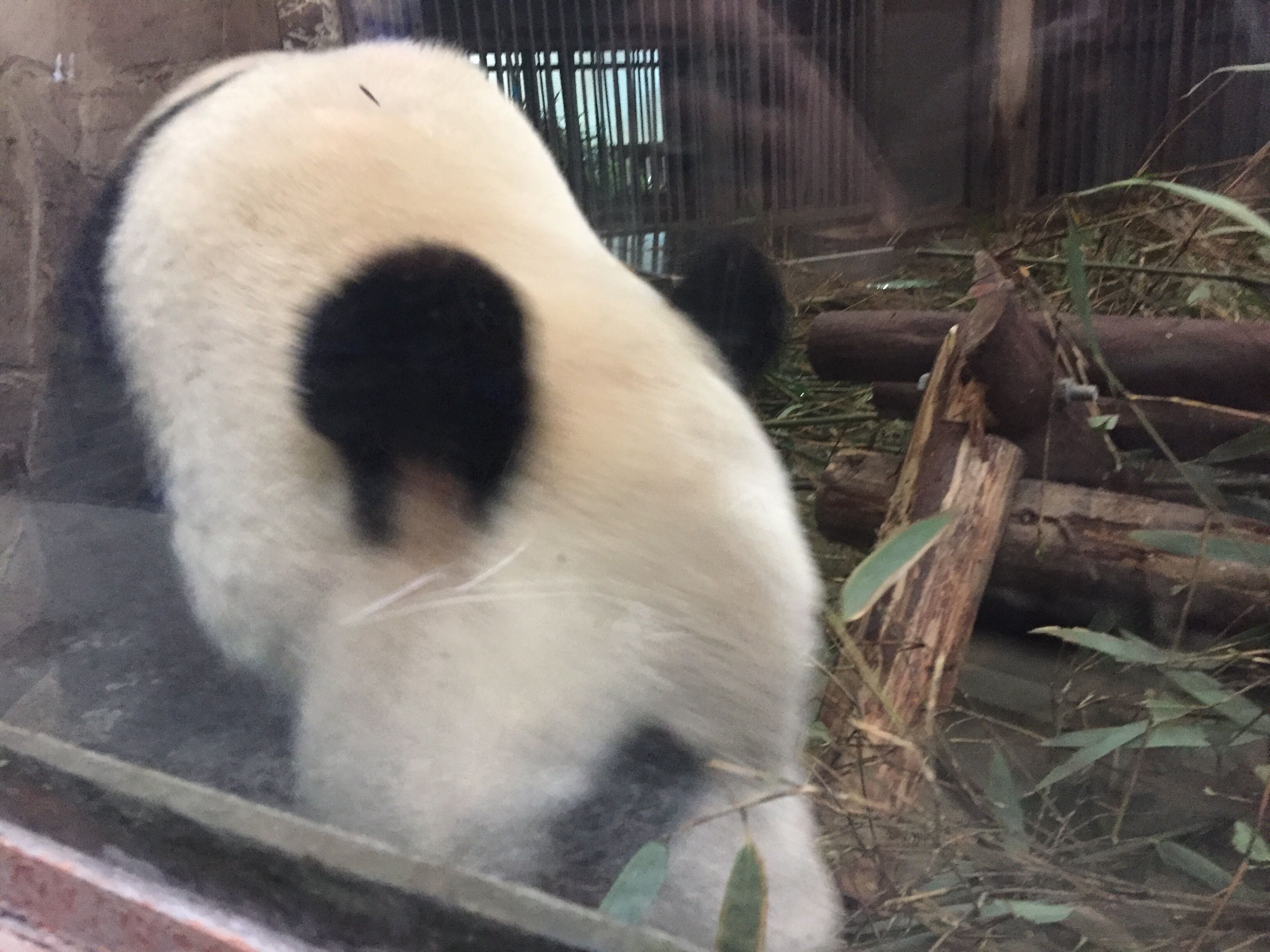 QQ图片20180126090027.jpg