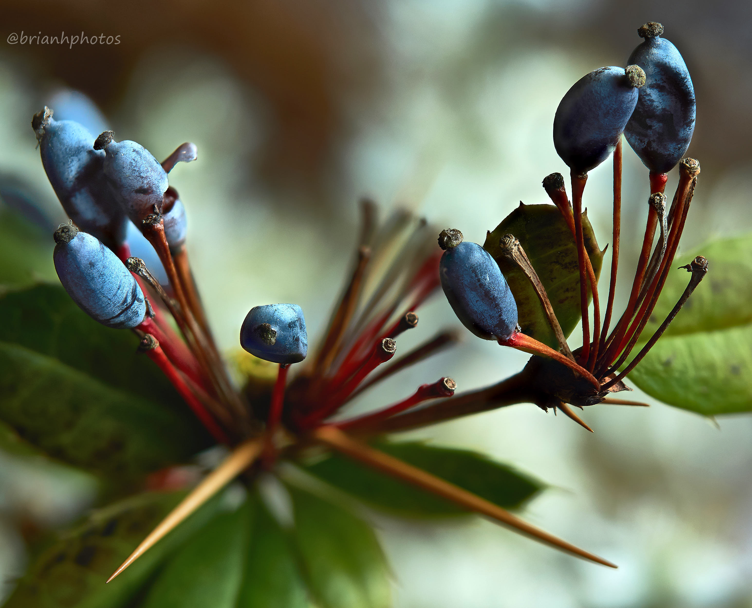 2018-04-10-20.00.47 ZS retouched 1.jpg