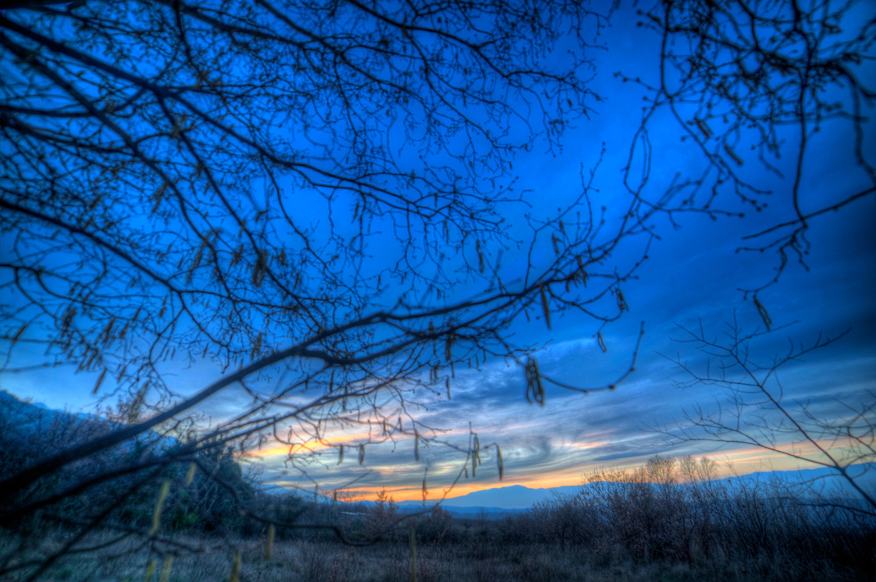 IMG_7596_7_8_tonemapped.jpg