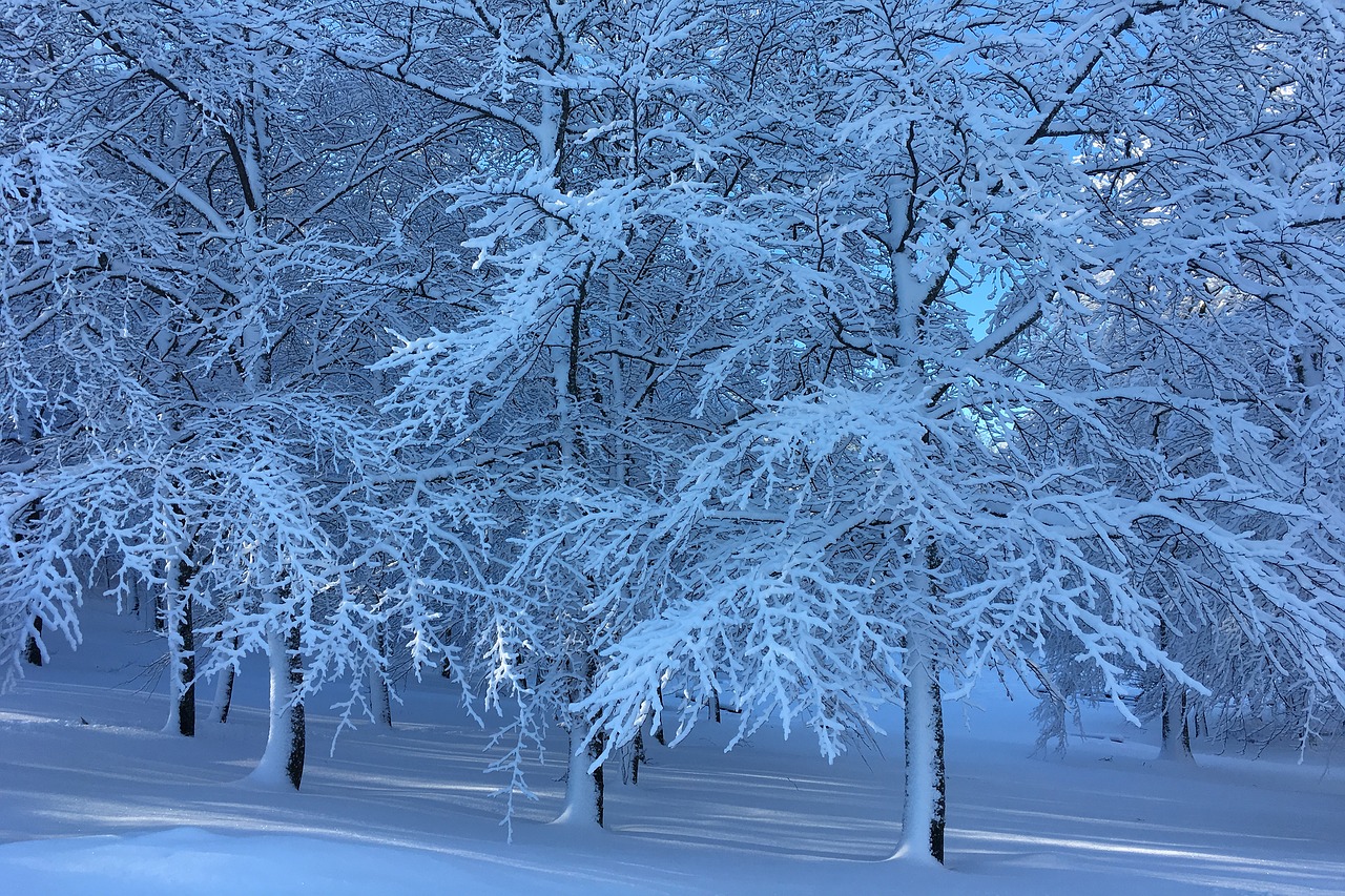 7126DEF2-A774-4D52-81B8-59CF5834B69C.jpeg