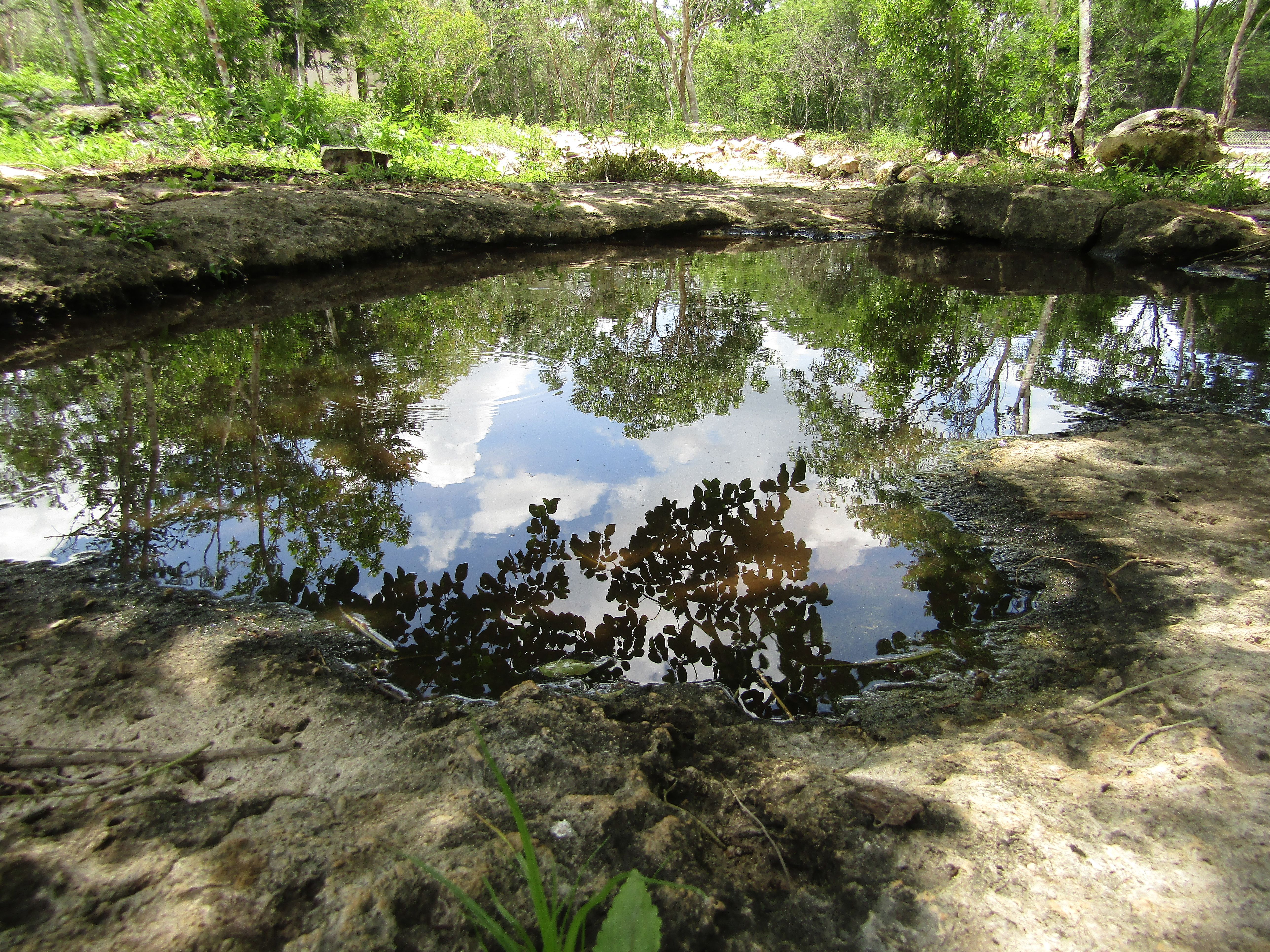 RefleccionCharco.jpg