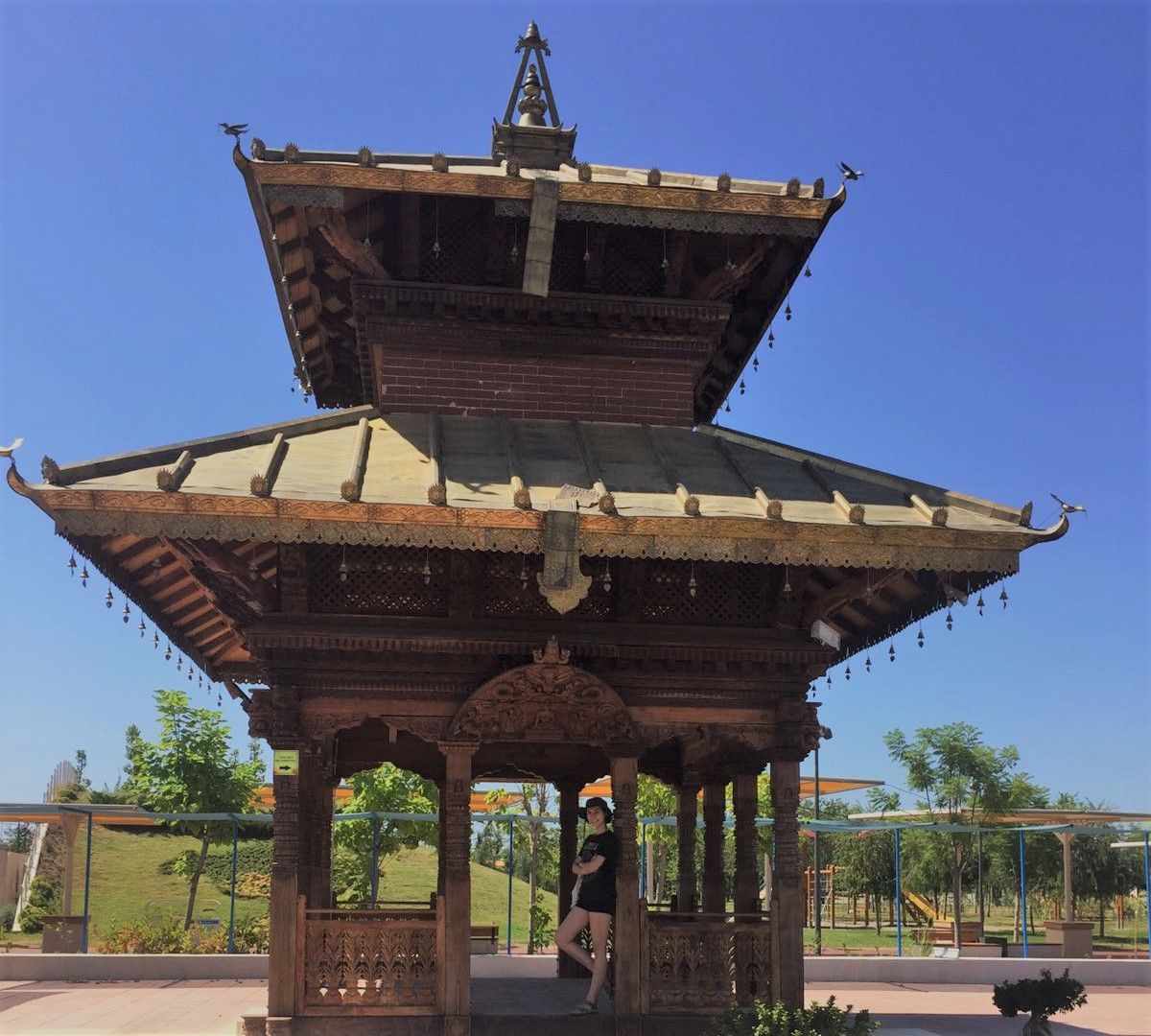 3b2cf269-d03b-48ce-87ce-869c376d9f3f (2).jpg