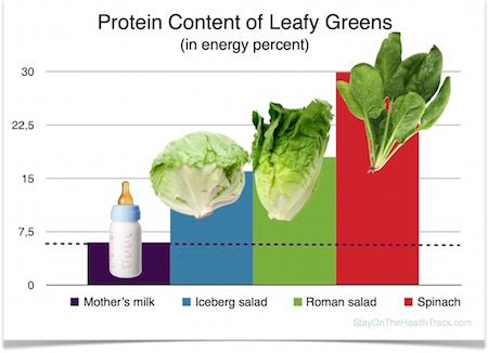 ProteinContentOfLeafyGreens.jpg