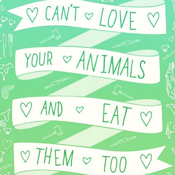 love animal dont eat.jpg