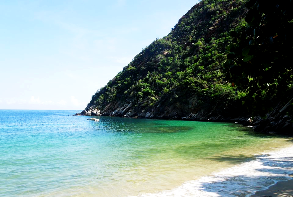 tuja beach.png