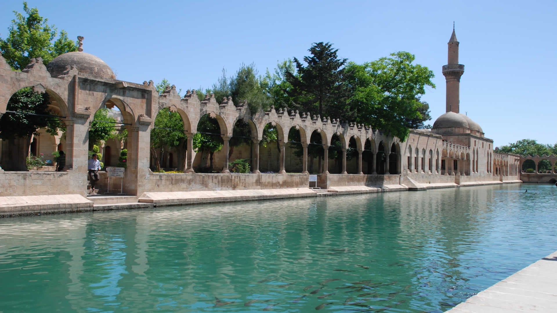 Balıklı-Göl-Urfa.jpg