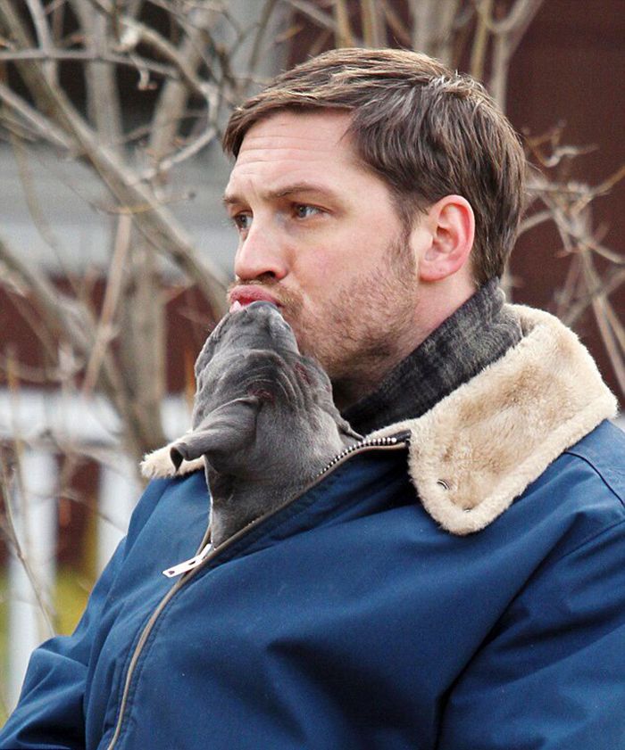 love-for-dogs-tom-hardy-8-59bf7279b94c6__700.jpg