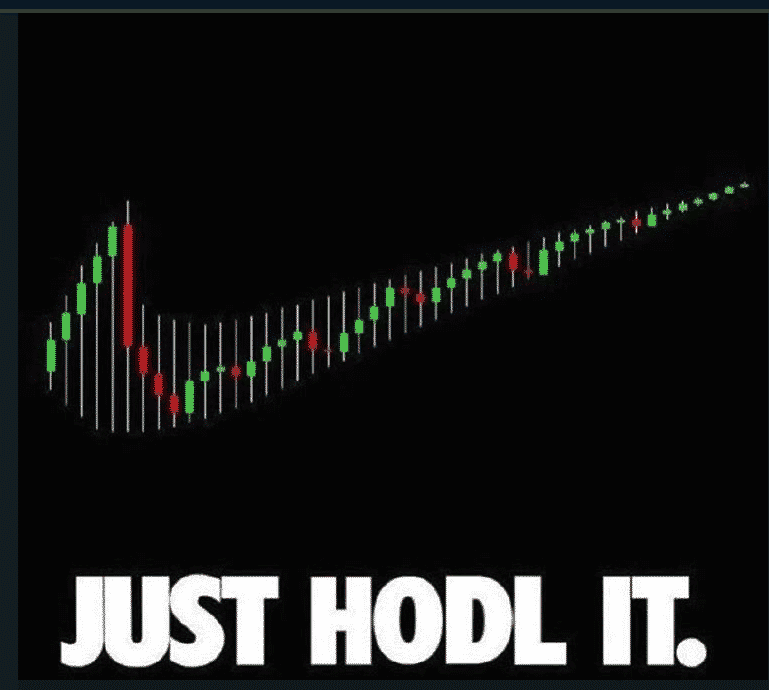 Hodl-source-crypto-memes.png