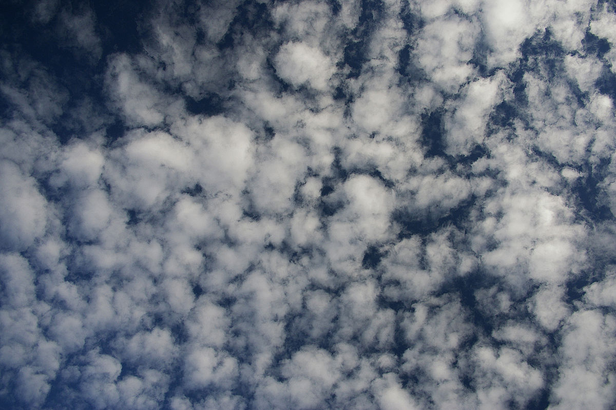 1200px-Altocumulus.jpg