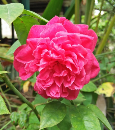 20180122_083049.png